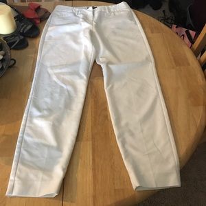 Express Editor Pants
